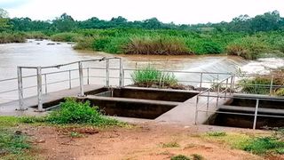 River Yala in Siaya 