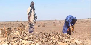 Hunger in Marsabit