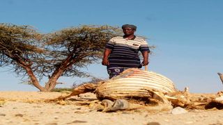 Marsabit Drought