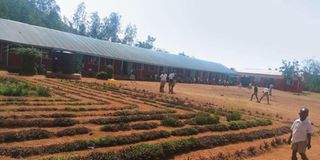 Pupils at Usenge Primary in Siaya.