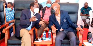 Kalonzo Musyoka and Jimi Wanjigi