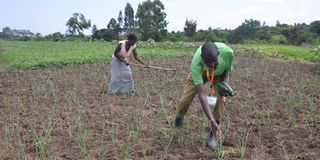 Mr Peter Chacha Mwita 