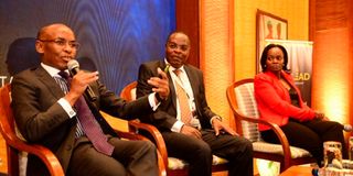 The Catalead Associates