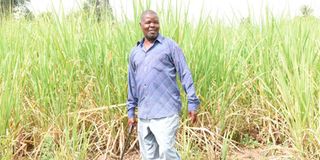 Antony Oliya Barasa sugar cane farmer