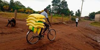 Antony Oliya Barasa sugar cane farmer