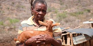 Baringo bandit attacks