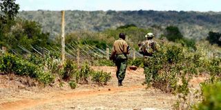 Laikipia Nature Conservancy