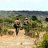 Laikipia Nature Conservancy