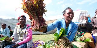 Miraa traders