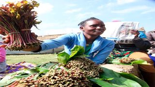 Miraa traders