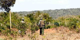 Laikipia Nature Conservancy