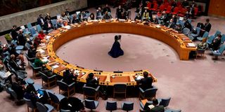 UN Security Council 