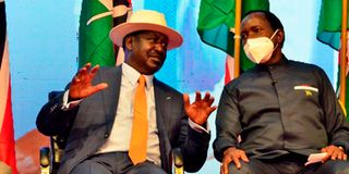 Raila Odinga and Kalonzo Musyoka