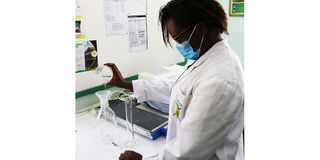 Aflatoxin Testing-use