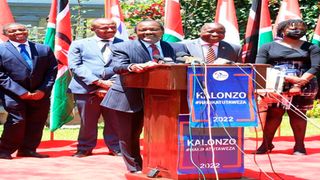 Wiper leader Kalonzo Musyoka