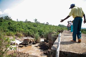 River Yala bodies