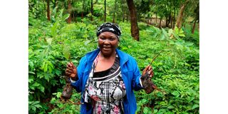 Woman tree planting