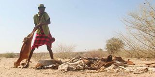 Marsabit drought 