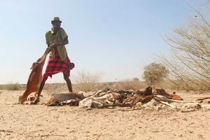 Marsabit drought 