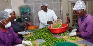 Geoffrey Okinyi