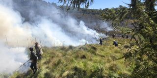 Mt Kenya Forest moorland fire