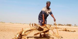 Marsabit drought