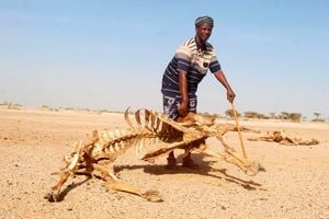 Marsabit drought