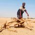Marsabit drought