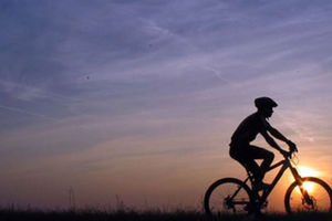 Bicycle helmets prevent head injuries by a considerable percentage.