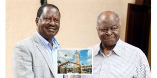 Mwai Kibaki and Raila Odinga