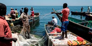 Kenyan fishermen lake Victoria