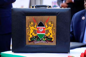 Yatani briefcase