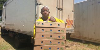 A farm worker with herbs for export