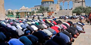 Palestinians 