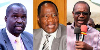 Nicholas Gumbo, Evans Kidero, Dalmas Otieno