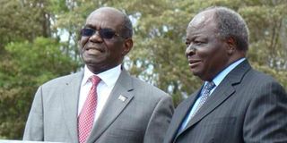 David Musila, Mwai Kibaki