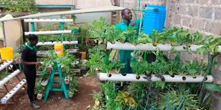 Urban Smart Gardeners