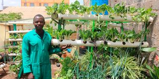 Urban Smart Gardeners