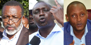 Meru Senator Mithika Linturi, MP Oscar Sudi and Taita Taveta Governor Granton Samboja