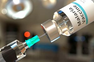 malaria vaccine, disease burden, malaria war