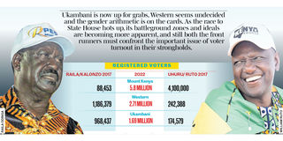 raila ruto infographic