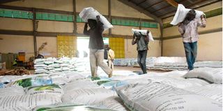 Workers carry bags of government subsidised fertiliser