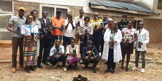 mango farmers operating seedling nurseries