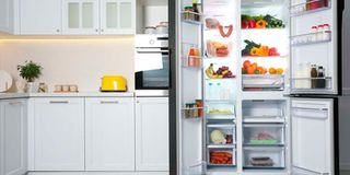 food storage fridgerefrigeration freezer