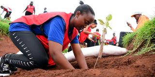 Ngong planting trees