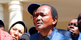 Wiper leader Kalonzo Musyoka