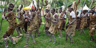 Traditional dancers 