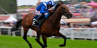 Jockey Jim Crowley rides Hukum