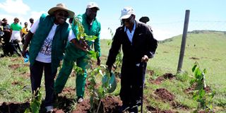 NMG board chairman Wilfred Kiboro