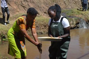 Water pollution